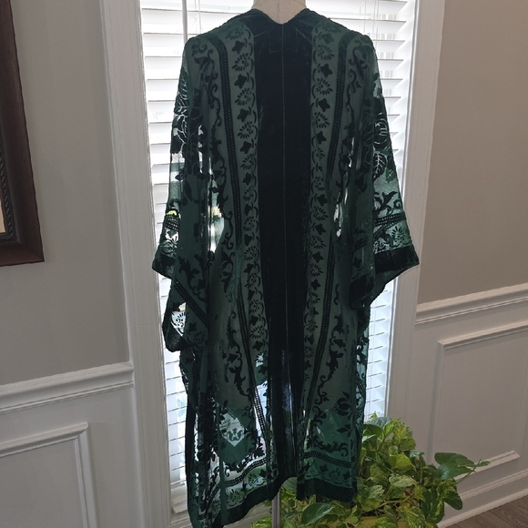 Angie Deep Green Sheer Kimono - Picture 8 of 9